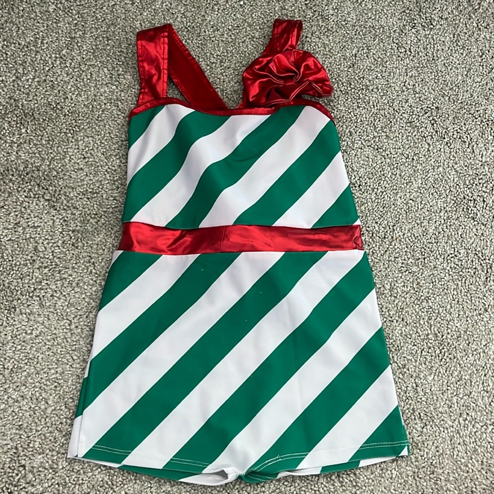 Christmas leotard